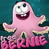 Free Bernie