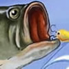 Fishing Champion