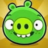 Bad Piggies