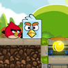 Angry Birds Find Your Partner