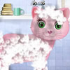 Kitty Grooming Salon 2