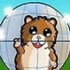 Downhill Hamsterball